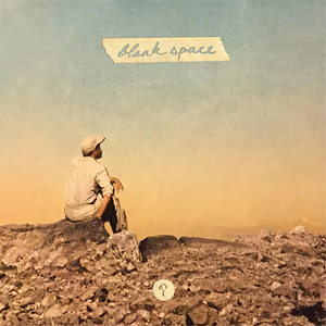 张柏芝殖器图12
