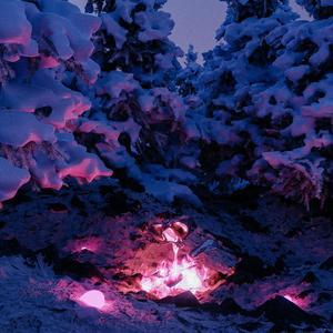 张柏芝殖器图12
