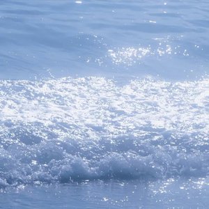 张柏芝殖器图12
