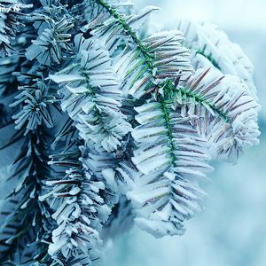 张柏芝殖器图12
