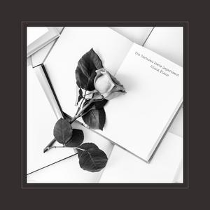 张柏芝殖器图12
