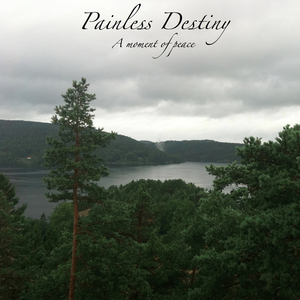 张柏芝殖器图12
