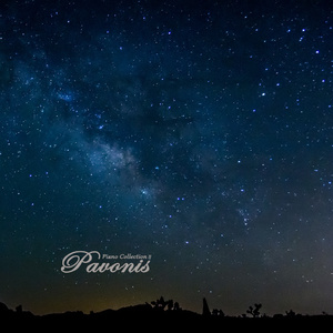 张柏芝殖器图12
