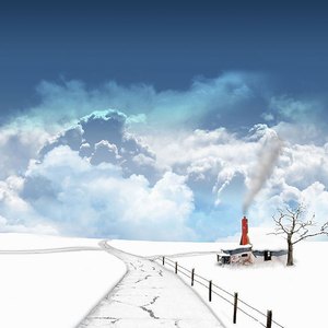 张柏芝殖器图12
